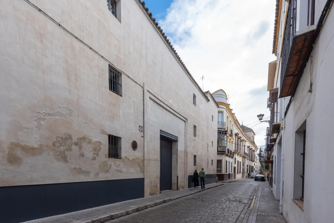 Apartamento En Monumento Historico Nacional Corral Del Conde-Duque De Olivares Seville Apartment
